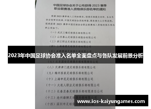 2023年中国足球协会准入名单全面盘点与各队发展前景分析