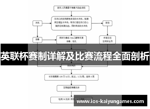 英联杯赛制详解及比赛流程全面剖析 英联杯赛制详解及比赛流程全面剖析